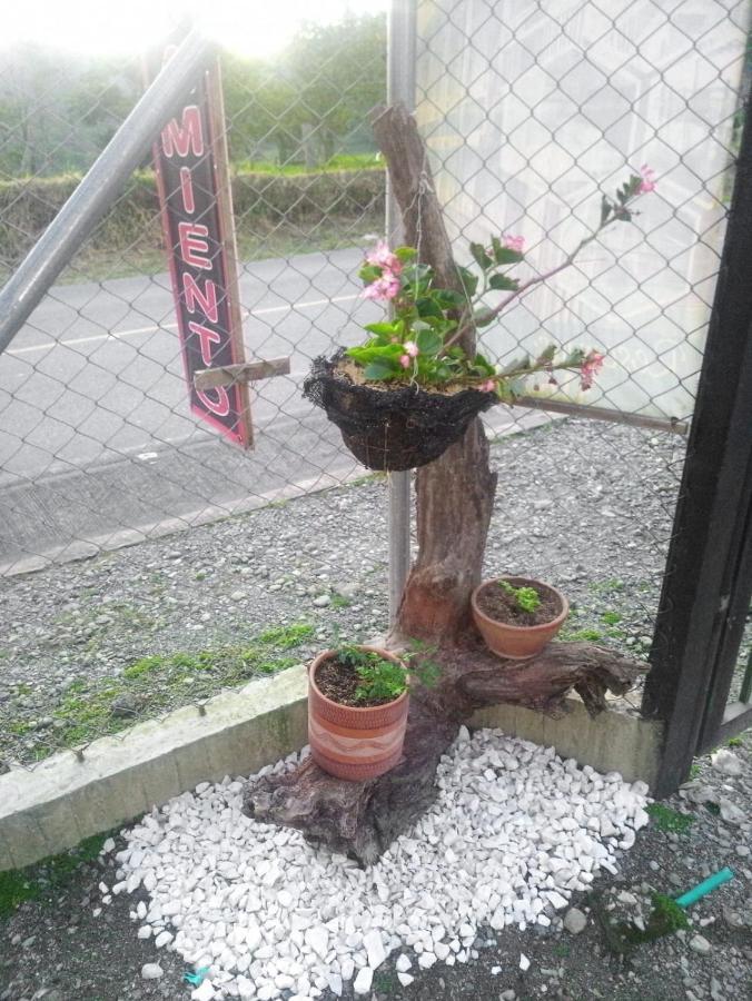Alojamiento Rural San Francisco 萨兰托 外观 照片